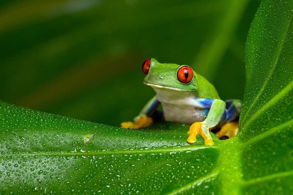 Photo: davemhuntphotography/shutterstock.com ""